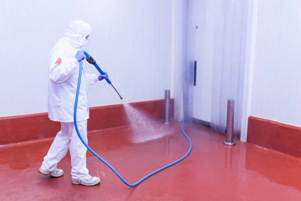 Best Residential Pressure Washing in Frisco, TX
